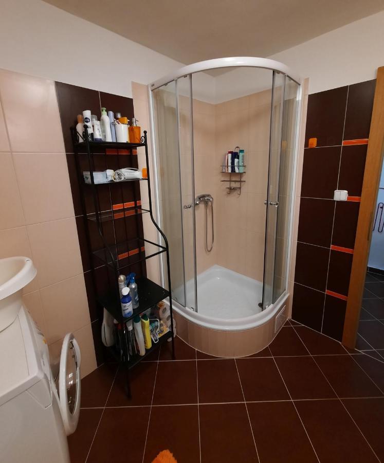 Apartman Lesna Nová Lesná Exteriör bild